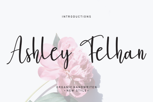 Ashley Felhan Script Font for Small Business Branding