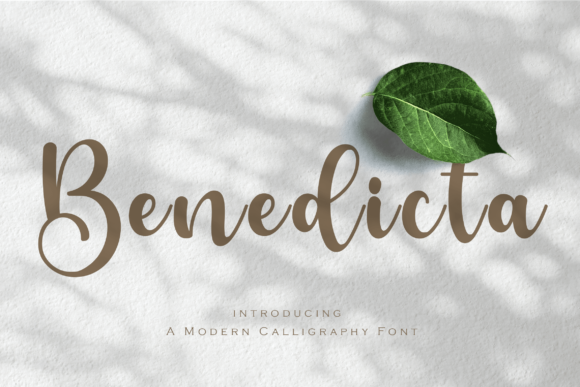 Benedicta Script Font for Elegant Handmade Designs