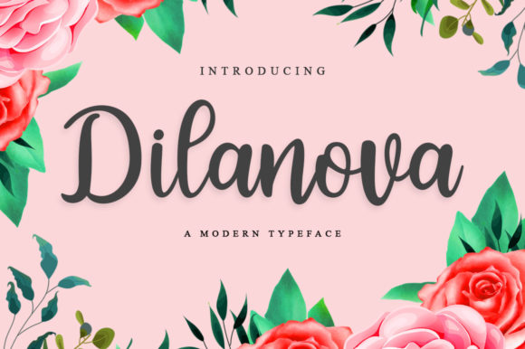 Dilanova Script Font for Elegant Branding and Campaign Design
