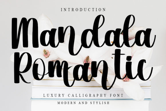 Mandala Romantic Script Font for Elegant Branding